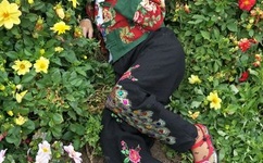 机长脔到她哭H粗话H动漫